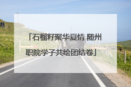 石榴籽聚华夏情 随州职院学子共绘团结卷