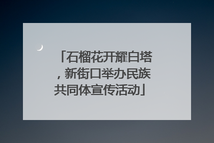 石榴花开耀白塔，新街口举办民族共同体宣传活动