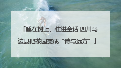 睡在树上、住进童话 四川马边县把茶园变成“诗与远方”