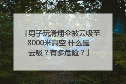 男子玩滑翔伞被云吸至8000米高空 什么是云吸？有多危险？