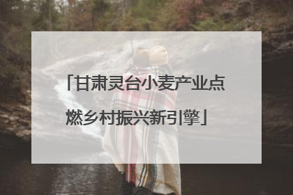 甘肃灵台小麦产业点燃乡村振兴新引擎