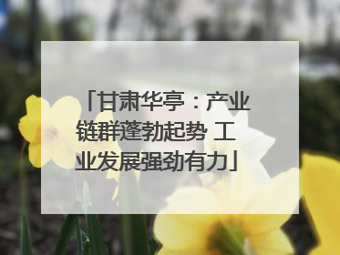 甘肃华亭：产业链群蓬勃起势 工业发展强劲有力