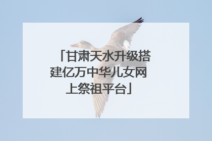 甘肃天水升级搭建亿万中华儿女网上祭祖平台