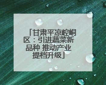 甘肃平凉崆峒区：引进蔬菜新品种 推动产业提档升级