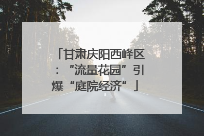 甘肃庆阳西峰区：“流量花园”引爆“庭院经济”