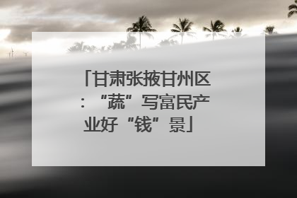甘肃张掖甘州区：“蔬”写富民产业好“钱”景