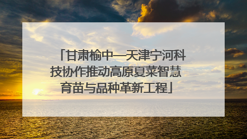 甘肃榆中—天津宁河科技协作推动高原夏菜智慧育苗与品种革新工程