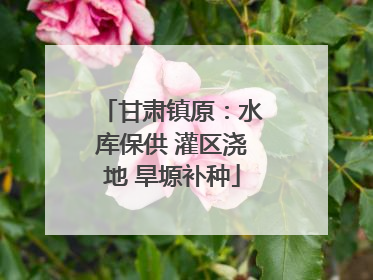 甘肃镇原：水库保供 灌区浇地 旱塬补种