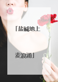 盐碱地上麦浪涌