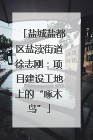 盐城盐都区盐渎街道徐志刚：项目建设工地上的“啄木鸟”