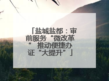盐城盐都：审前服务“微改革” 推动便捷办证“大提升”