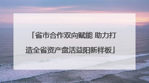 省市合作双向赋能 助力打造全省资产盘活益阳新样板