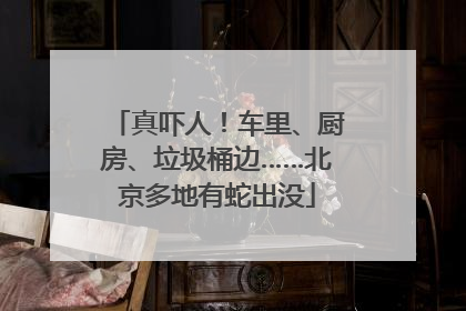 真吓人！车里、厨房、垃圾桶边……北京多地有蛇出没