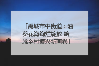 禹城市中街道：油葵花海绚烂绽放 绘就乡村振兴新画卷