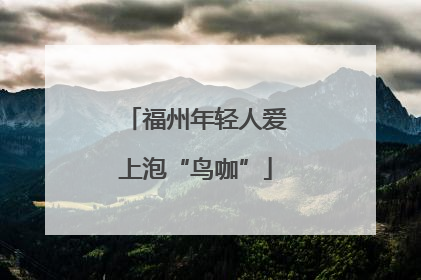 福州年轻人爱上泡“鸟咖”