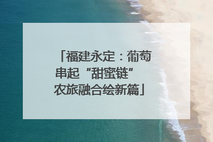 福建永定：葡萄串起“甜蜜链” 农旅融合绘新篇