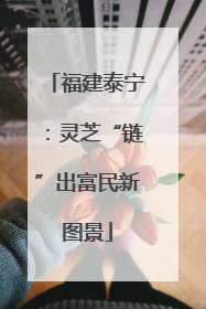 福建泰宁：灵芝“链”出富民新图景