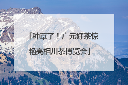 种草了！广元好茶惊艳亮相川茶博览会