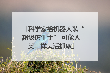 科学家给机器人装“超级仿生手” 可像人类一样灵活抓取