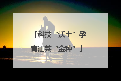 科技“沃土”孕育油菜“金种”