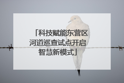 科技赋能东营区河道巡查试点开启智慧新模式