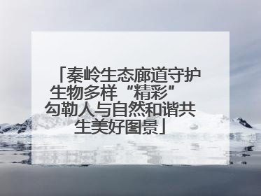 秦岭生态廊道守护生物多样“精彩” 勾勒人与自然和谐共生美好图景