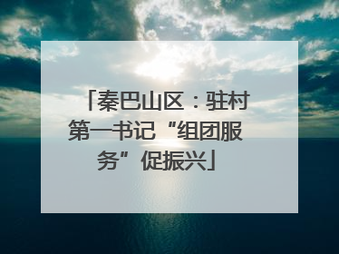 秦巴山区：驻村第一书记“组团服务”促振兴