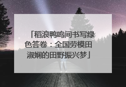 稻浪鸭鸣间书写绿色答卷：全国劳模田淑娴的田野振兴梦
