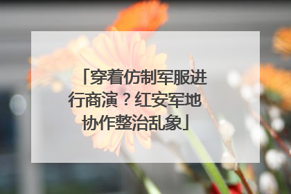 穿着仿制军服进行商演？红安军地协作整治乱象