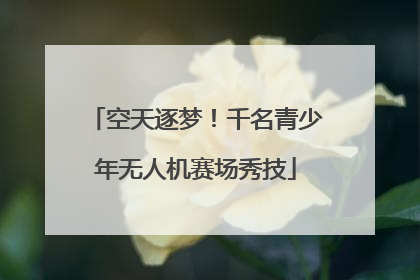 空天逐梦！千名青少年无人机赛场秀技