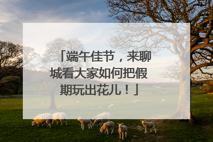 端午佳节，来聊城看大家如何把假期玩出花儿！