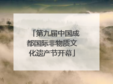第九届中国成都国际非物质文化遗产节开幕