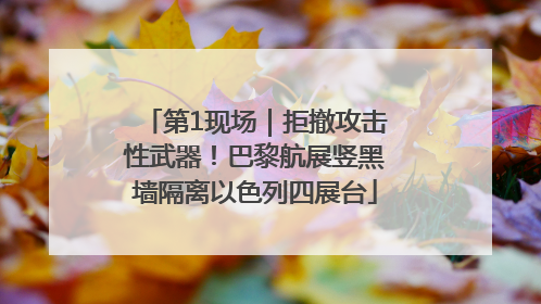 第1现场｜拒撤攻击性武器！巴黎航展竖黑墙隔离以色列四展台