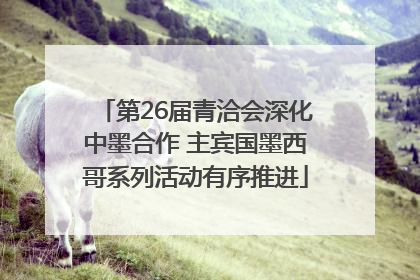 第26届青洽会深化中墨合作 主宾国墨西哥系列活动有序推进