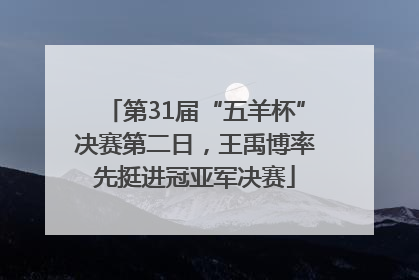 第31届“五羊杯”决赛第二日，王禹博率先挺进冠亚军决赛