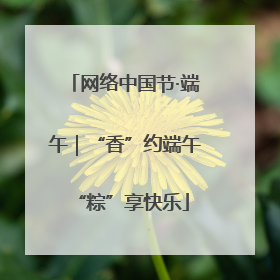 网络中国节·端午｜“香”约端午 “粽”享快乐