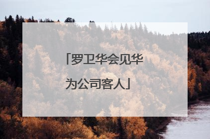 罗卫华会见华为公司客人