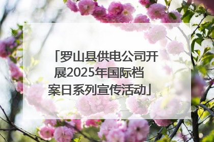 罗山县供电公司开展2025年国际档案日系列宣传活动