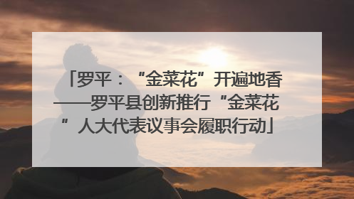 罗平：“金菜花”开遍地香——罗平县创新推行“金菜花”人大代表议事会履职行动