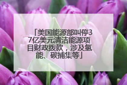 美国能源部叫停37亿美元清洁能源项目财政拨款，涉及氢能、碳捕集等