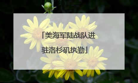 美海军陆战队进驻洛杉矶执勤