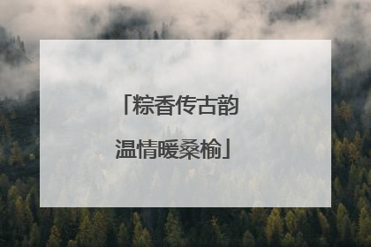 粽香传古韵 温情暖桑榆