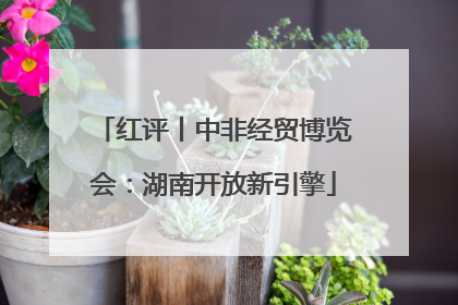 红评丨中非经贸博览会：湖南开放新引擎