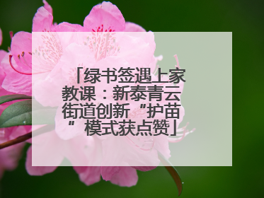 绿书签遇上家教课：新泰青云街道创新“护苗”模式获点赞