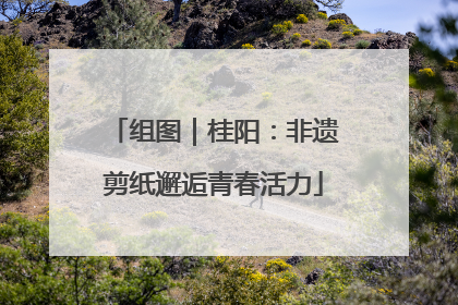 组图｜桂阳：非遗剪纸邂逅青春活力