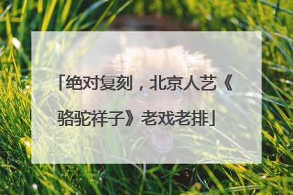 绝对复刻，北京人艺《骆驼祥子》老戏老排