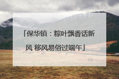 保华镇：粽叶飘香话新风 移风易俗过端午