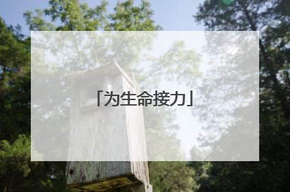 为生命接力
