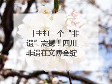 主打一个“非遗”震撼！四川非遗在文博会绽放时代光彩｜文博向“新”