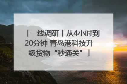 一线调研丨从4小时到20分钟 青岛港科技升级货物“秒通关”